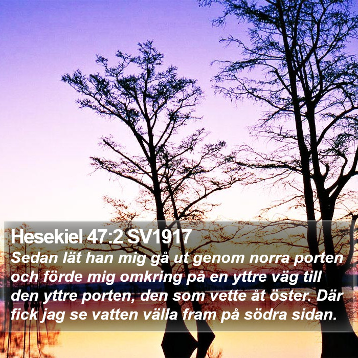 Hesekiel 47:2 SV1917 Bible Study