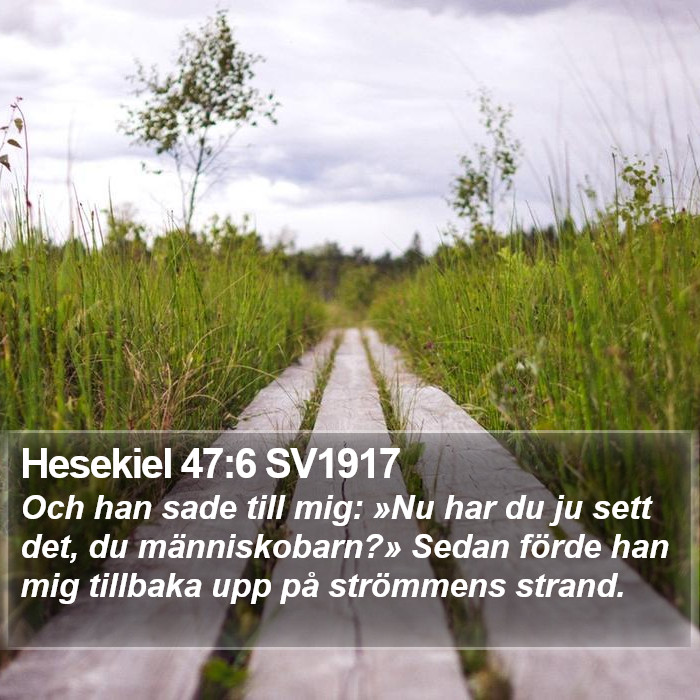 Hesekiel 47:6 SV1917 Bible Study