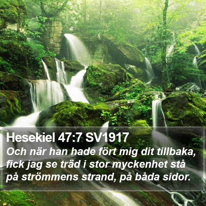 Hesekiel 47:7 SV1917 Bible Study