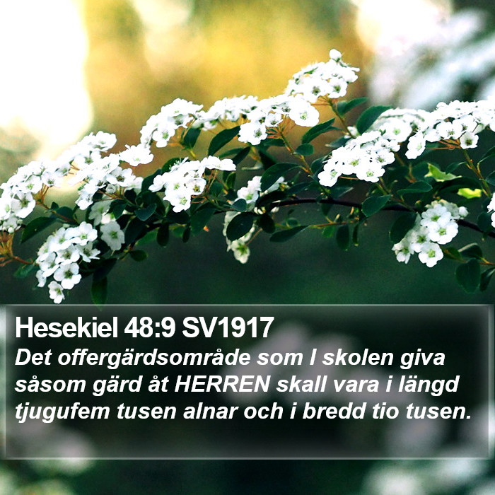 Hesekiel 48:9 SV1917 Bible Study