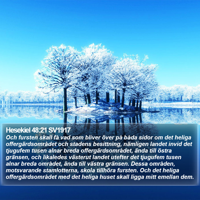 Hesekiel 48:21 SV1917 Bible Study