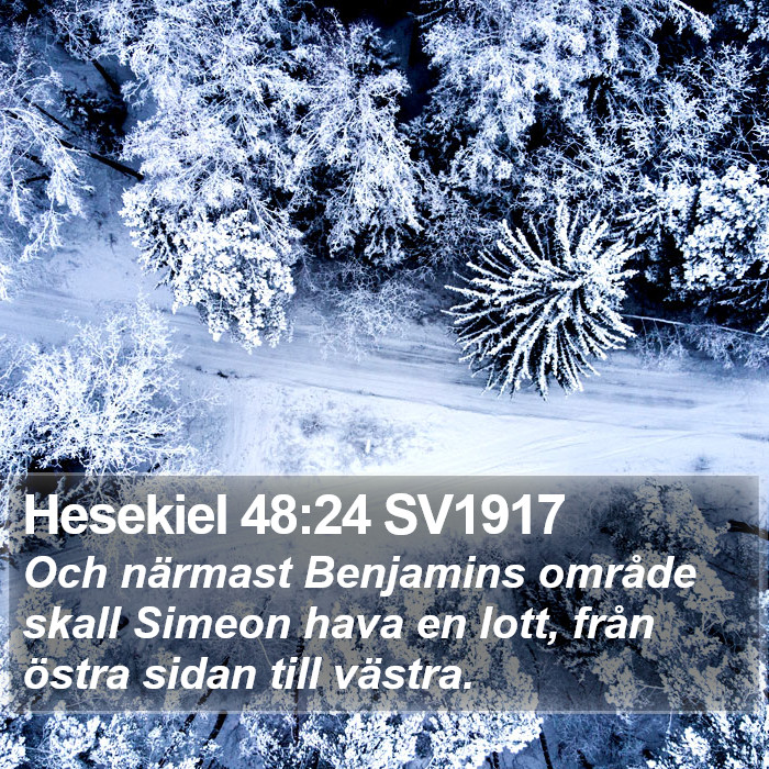 Hesekiel 48:24 SV1917 Bible Study