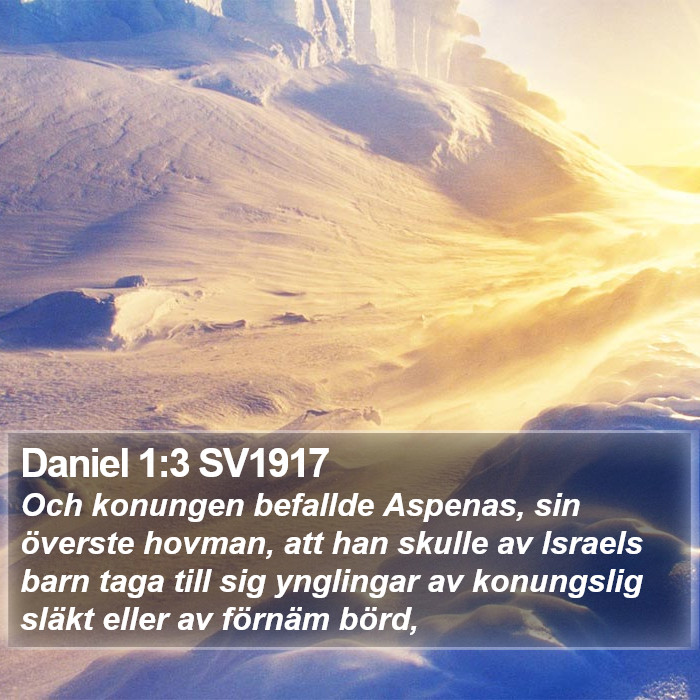 Daniel 1:3 SV1917 Bible Study