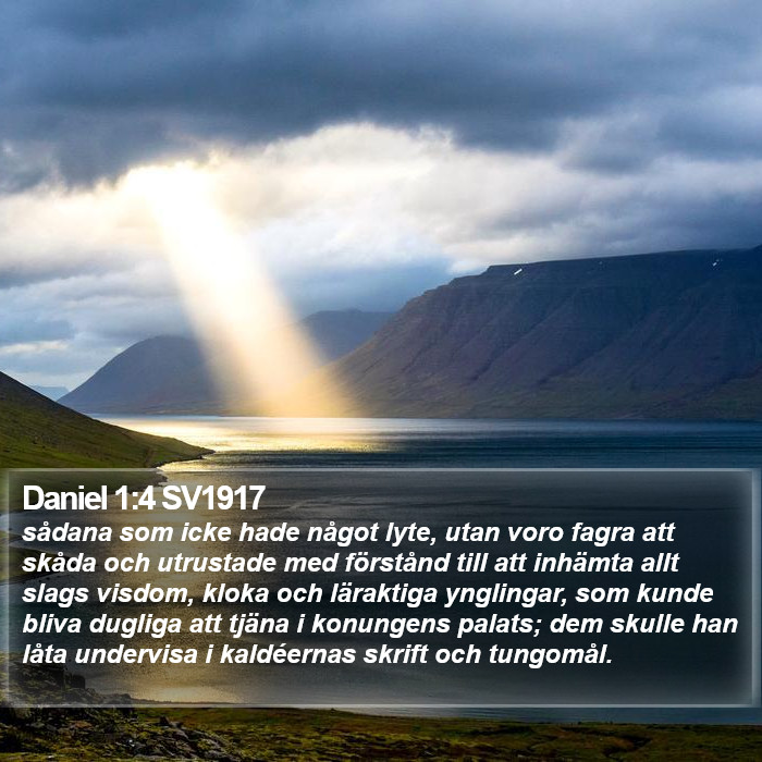 Daniel 1:4 SV1917 Bible Study