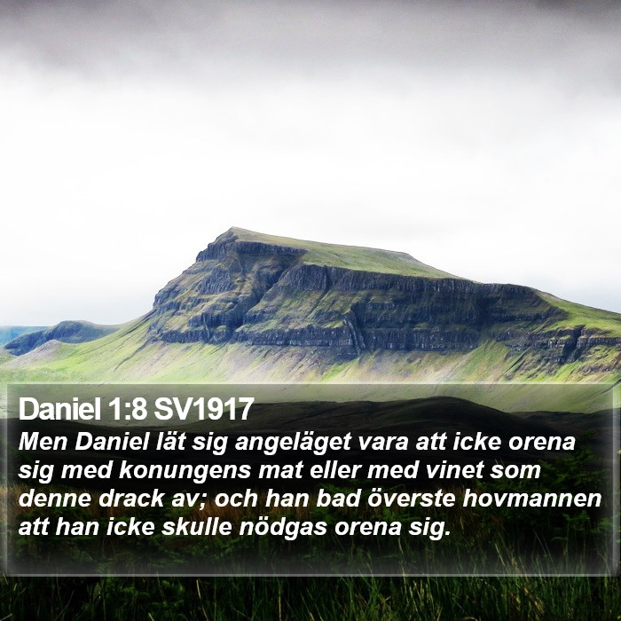 Daniel 1:8 SV1917 Bible Study