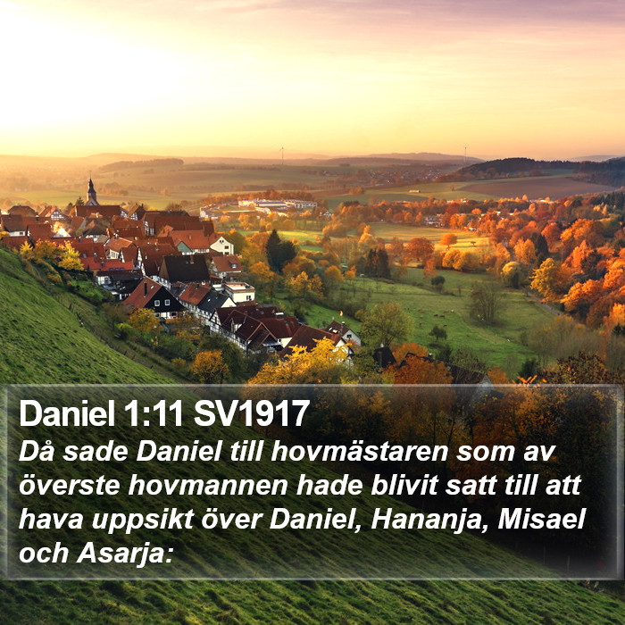 Daniel 1:11 SV1917 Bible Study