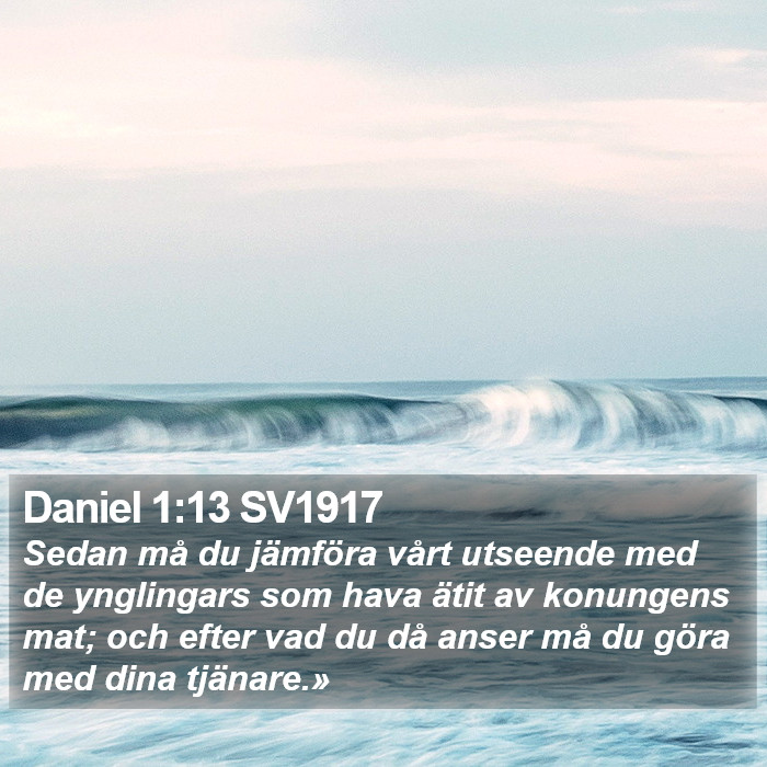 Daniel 1:13 SV1917 Bible Study