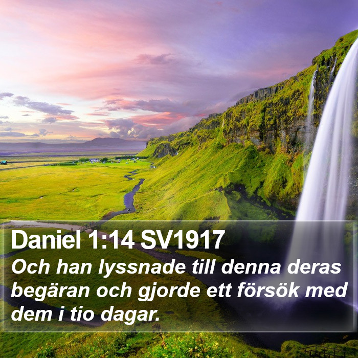 Daniel 1:14 SV1917 Bible Study