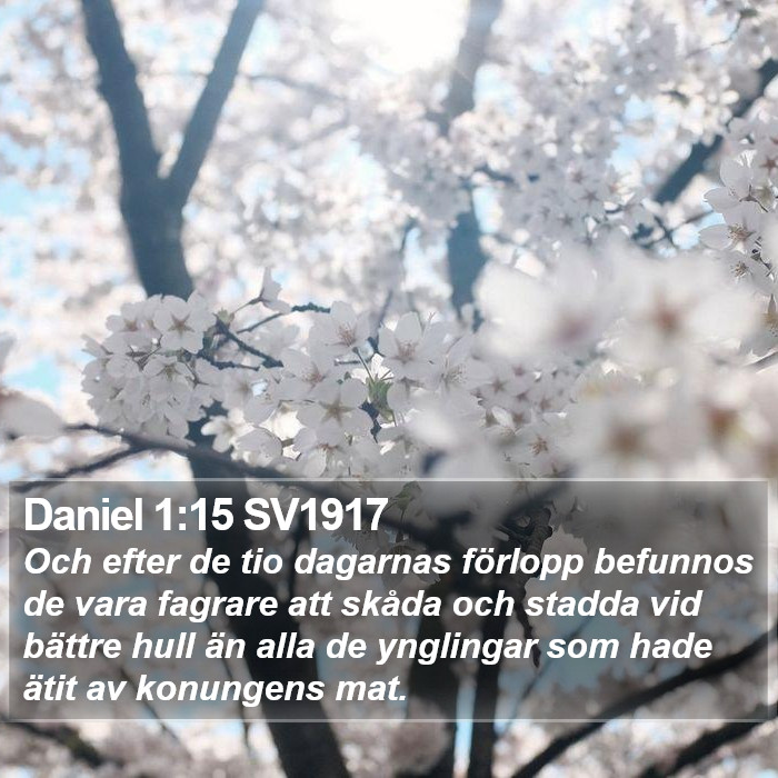 Daniel 1:15 SV1917 Bible Study