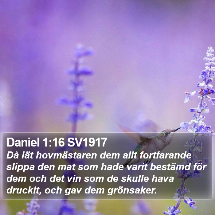 Daniel 1:16 SV1917 Bible Study