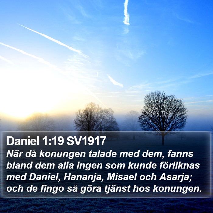 Daniel 1:19 SV1917 Bible Study