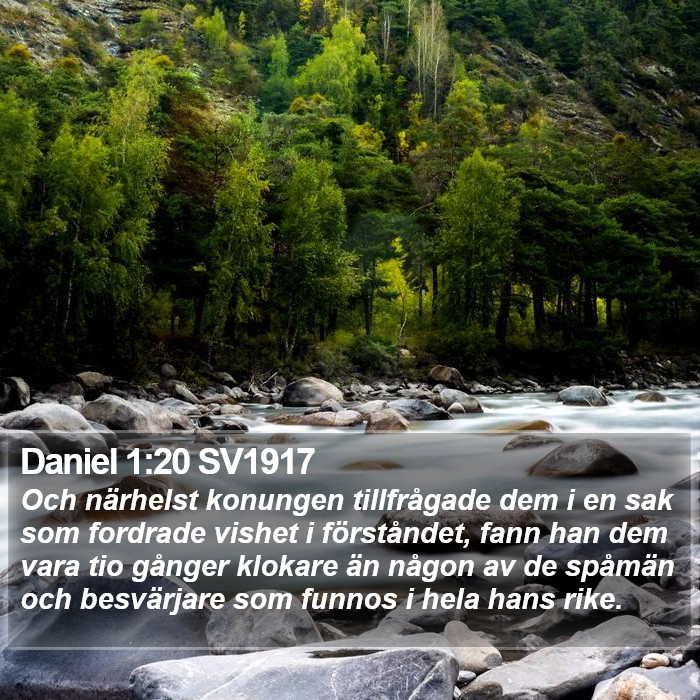 Daniel 1:20 SV1917 Bible Study