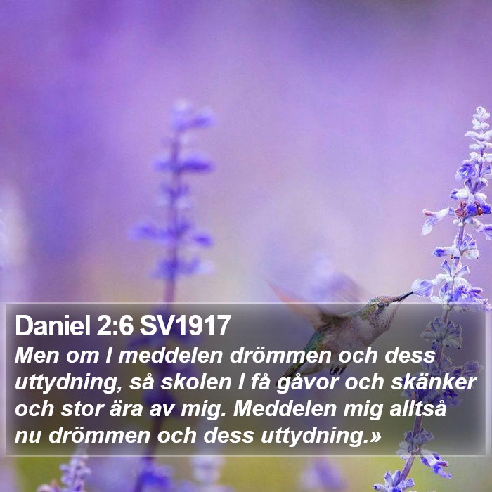 Daniel 2:6 SV1917 Bible Study