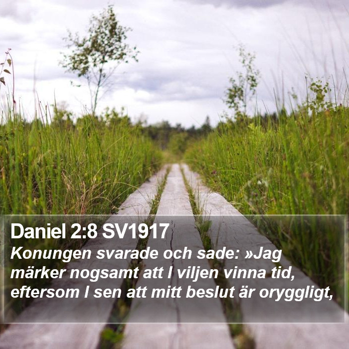 Daniel 2:8 SV1917 Bible Study