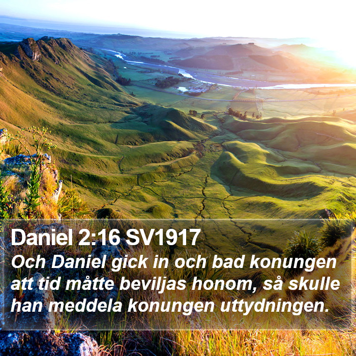 Daniel 2:16 SV1917 Bible Study