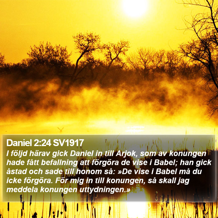 Daniel 2:24 SV1917 Bible Study