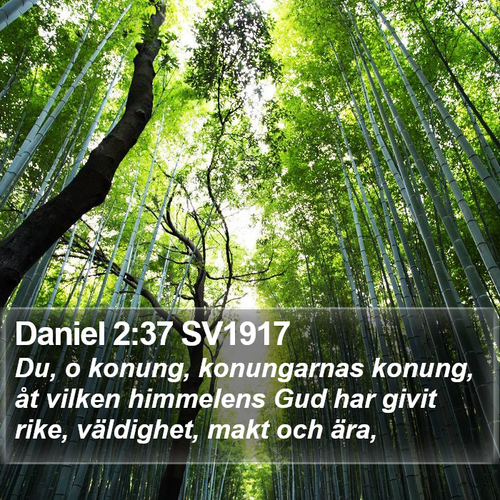 Daniel 2:37 SV1917 Bible Study