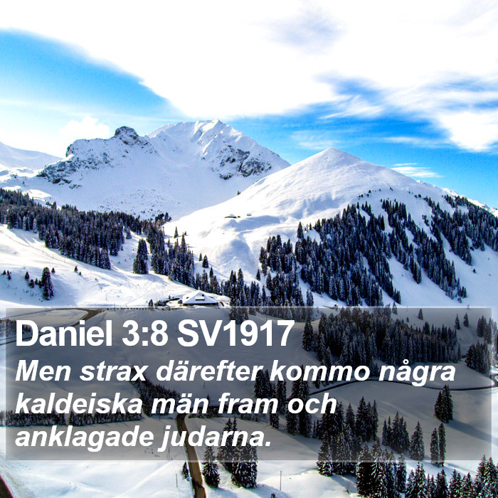 Daniel 3:8 SV1917 Bible Study