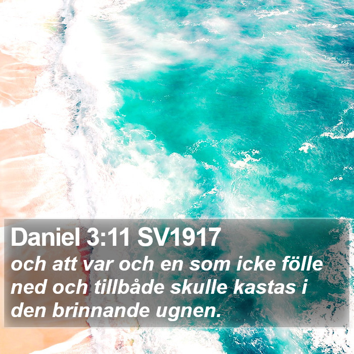 Daniel 3:11 SV1917 Bible Study