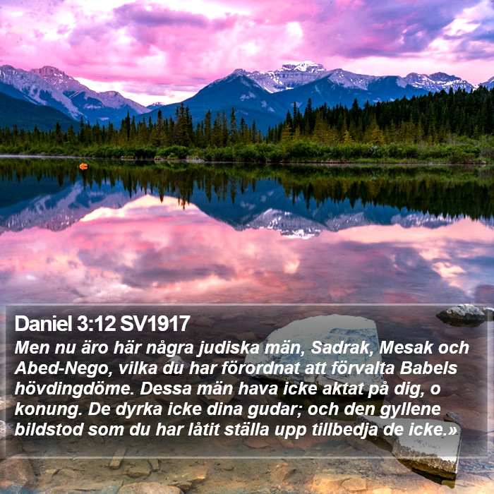 Daniel 3:12 SV1917 Bible Study