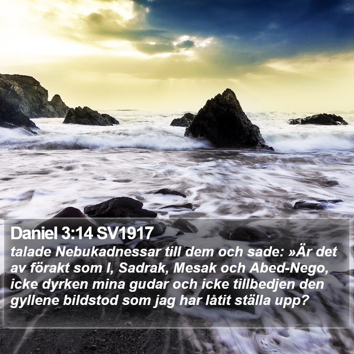 Daniel 3:14 SV1917 Bible Study