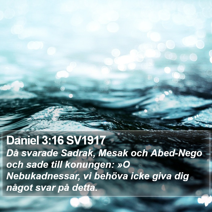 Daniel 3:16 SV1917 Bible Study