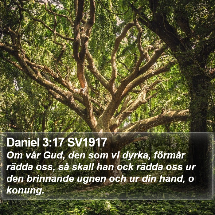 Daniel 3:17 SV1917 Bible Study