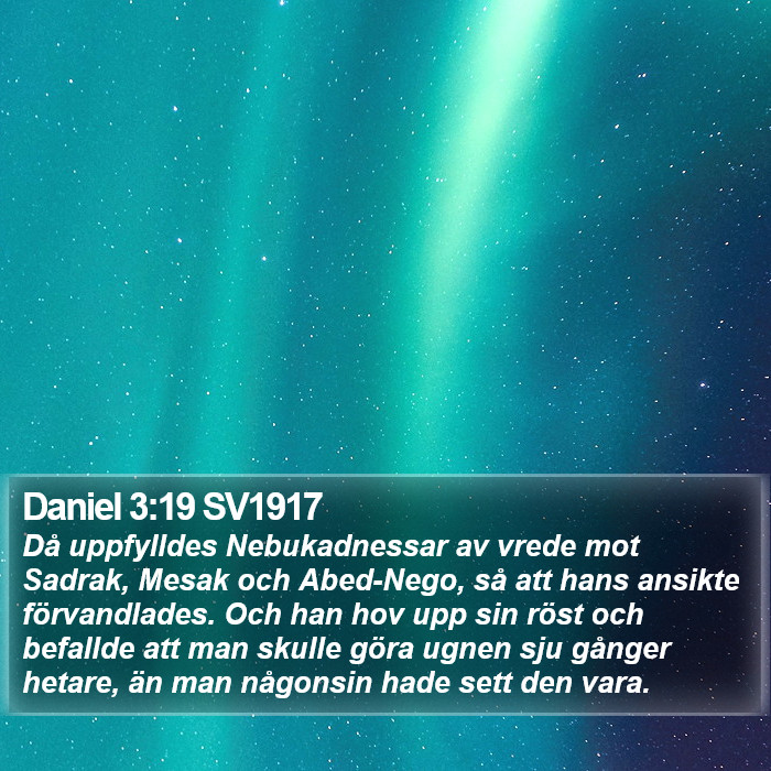 Daniel 3:19 SV1917 Bible Study