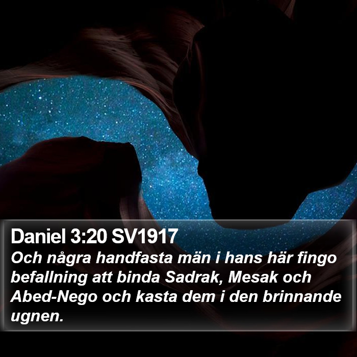 Daniel 3:20 SV1917 Bible Study