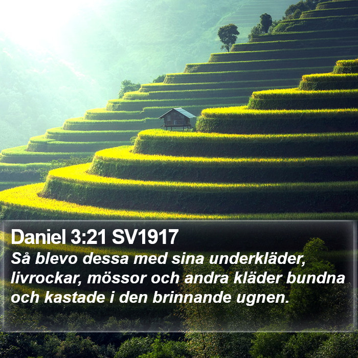 Daniel 3:21 SV1917 Bible Study
