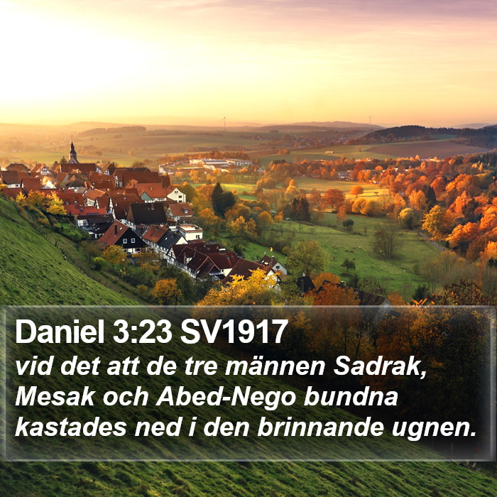 Daniel 3:23 SV1917 Bible Study