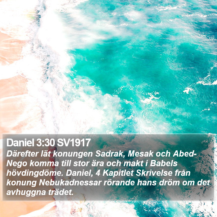 Daniel 3:30 SV1917 Bible Study