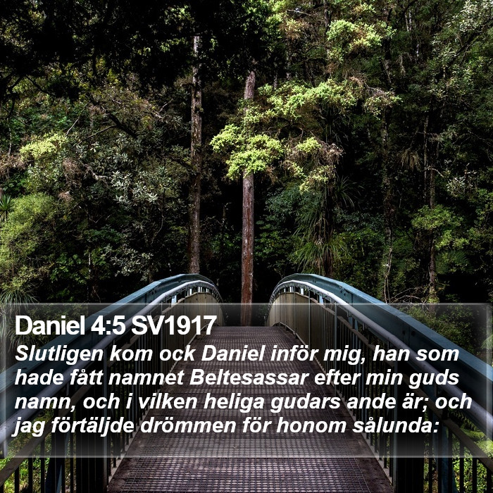 Daniel 4:5 SV1917 Bible Study