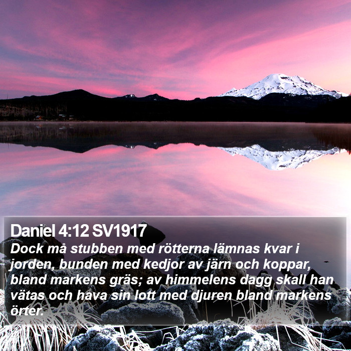 Daniel 4:12 SV1917 Bible Study