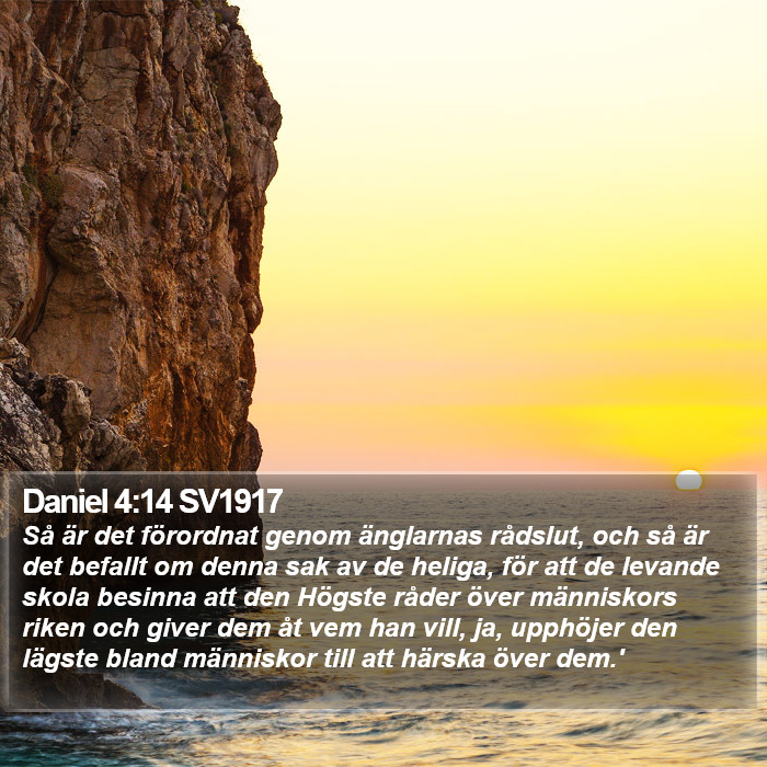 Daniel 4:14 SV1917 Bible Study