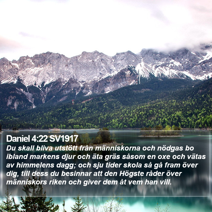 Daniel 4:22 SV1917 Bible Study