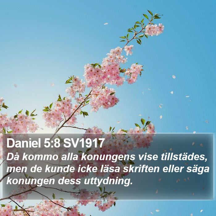 Daniel 5:8 SV1917 Bible Study