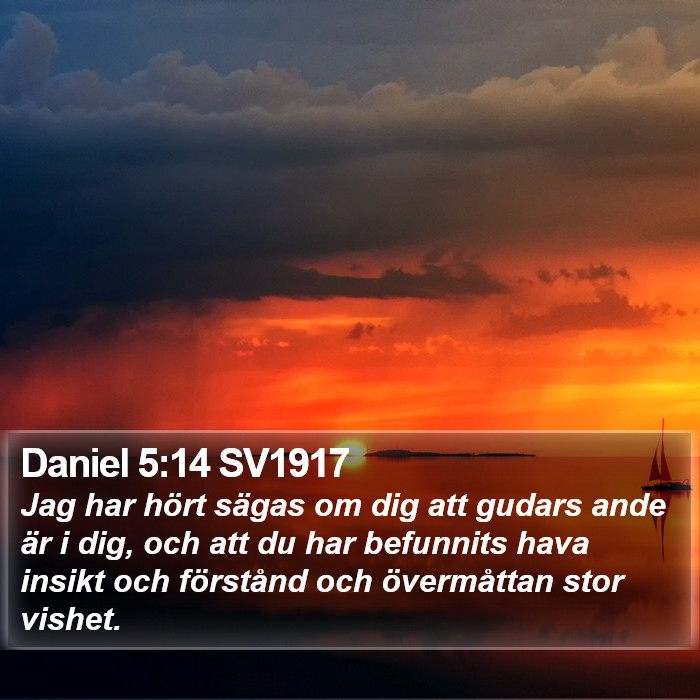 Daniel 5:14 SV1917 Bible Study