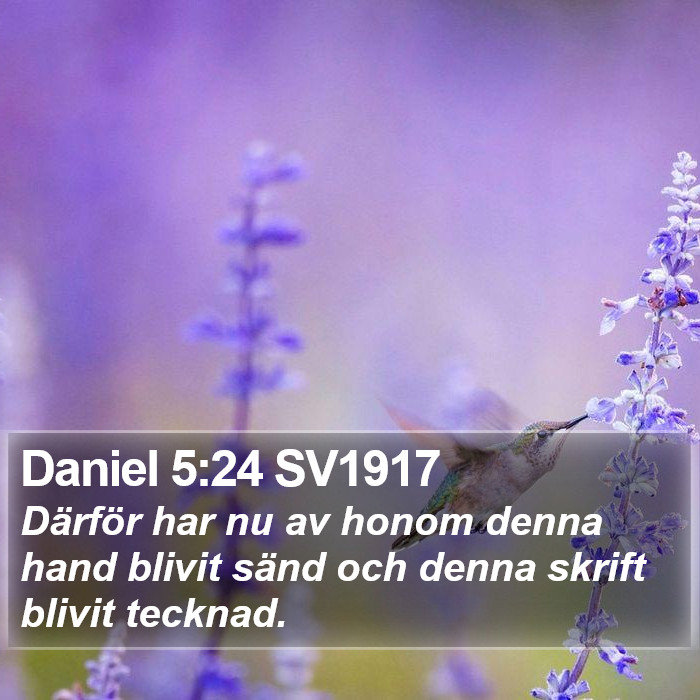 Daniel 5:24 SV1917 Bible Study