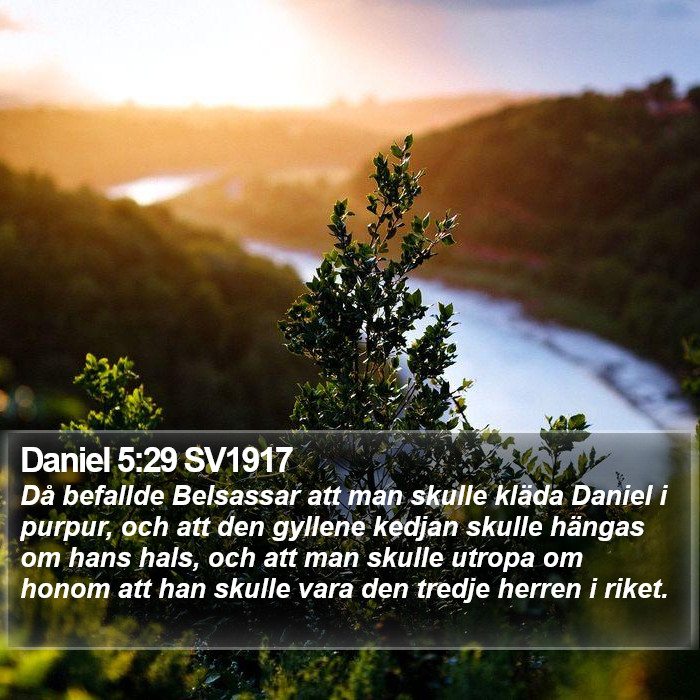 Daniel 5:29 SV1917 Bible Study