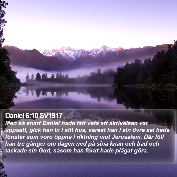 Daniel 6:10 SV1917 Bible Study