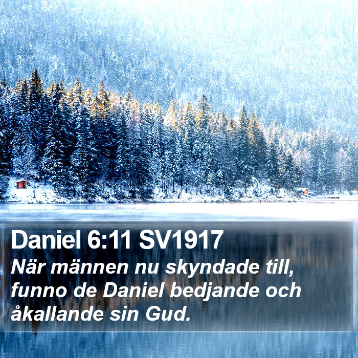 Daniel 6:11 SV1917 Bible Study