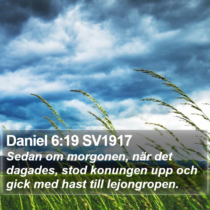 Daniel 6:19 SV1917 Bible Study