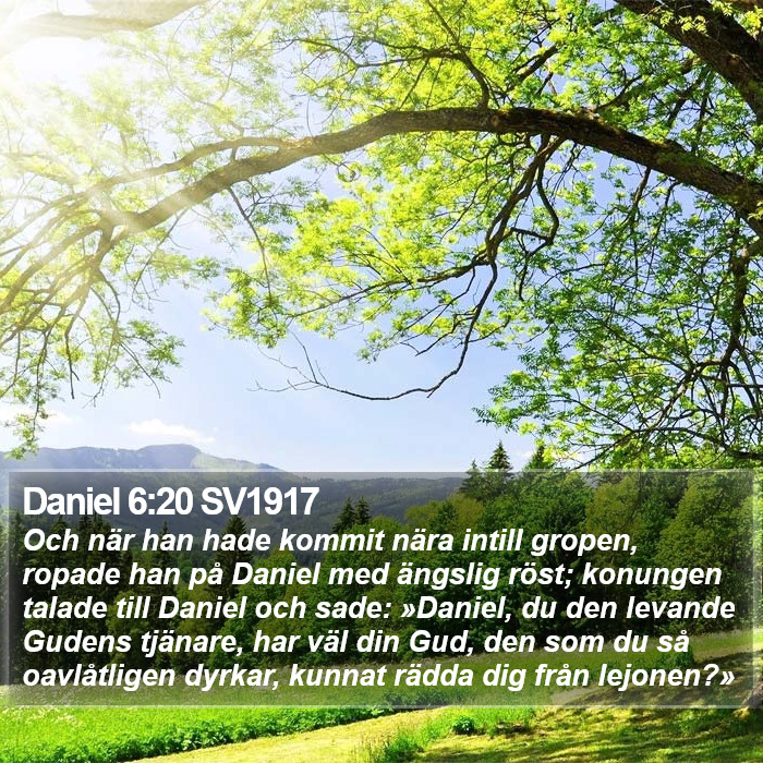 Daniel 6:20 SV1917 Bible Study