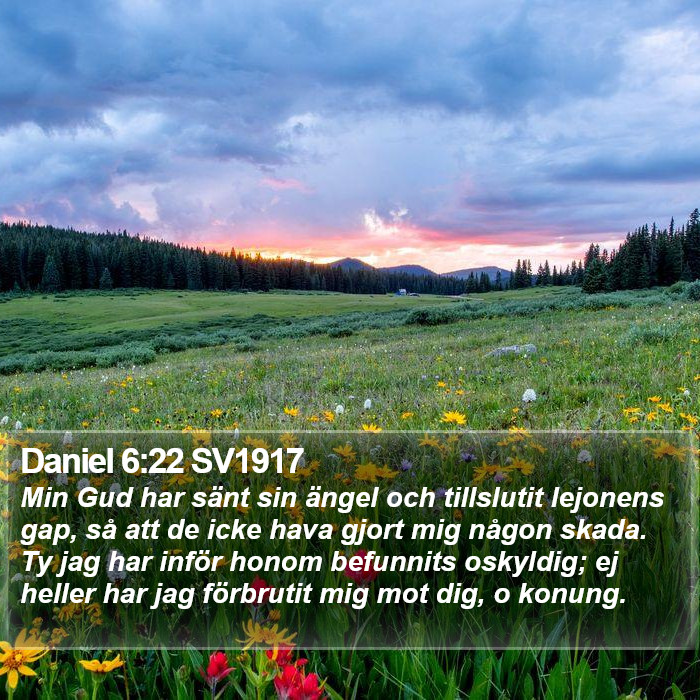 Daniel 6:22 SV1917 Bible Study