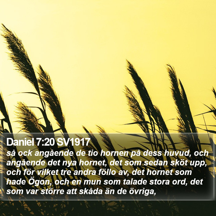 Daniel 7:20 SV1917 Bible Study