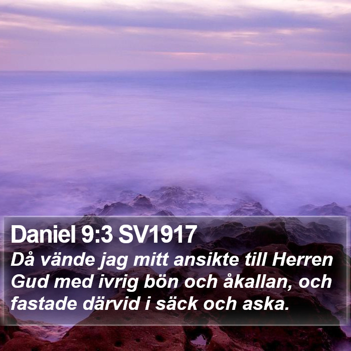 Daniel 9:3 SV1917 Bible Study