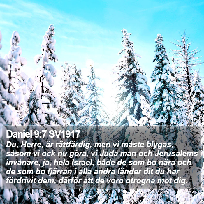 Daniel 9:7 SV1917 Bible Study