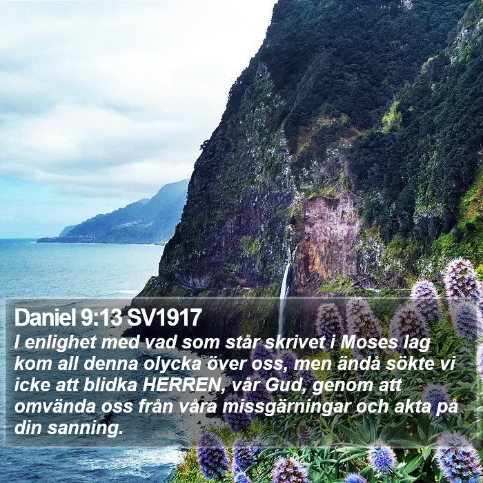 Daniel 9:13 SV1917 Bible Study