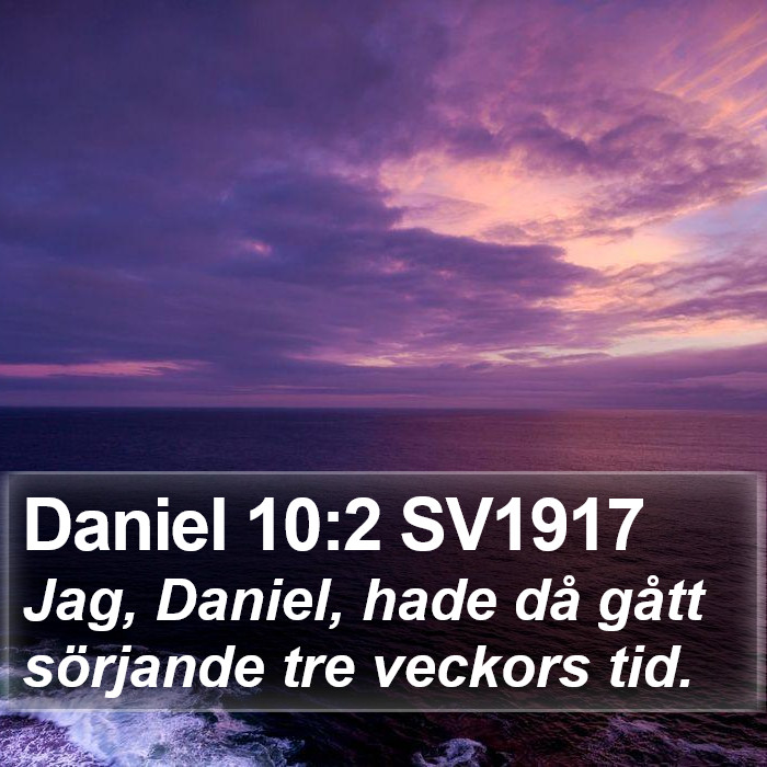 Daniel 10:2 SV1917 Bible Study